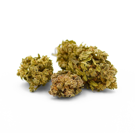 Commande fleurs de cbd suisse en gros Lemon Haze CBD 21%