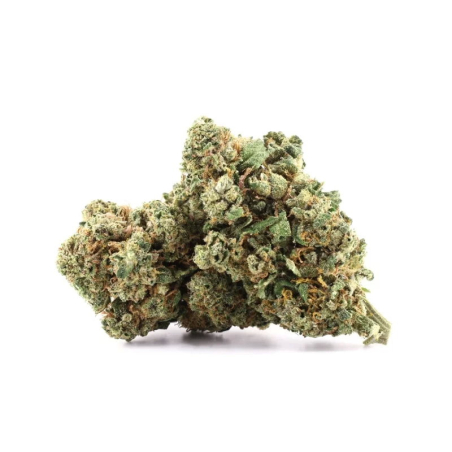 Tangerine fleur CBD 13%, THC moins de 0.2%