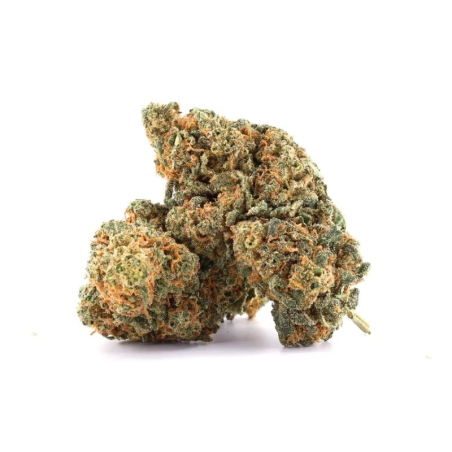 Master Kush fleur CBD 14%, THC moins de 0.2%