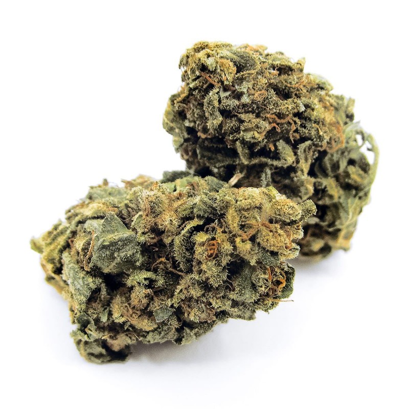 Buy Cheese CBD Wholesale Europe, Cannabis ultra light THC -0.2%